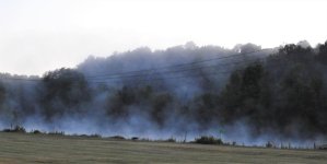 DSCN3586.jpg