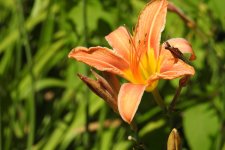 DSCN3596.jpg