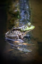 _DSC4728.jpg