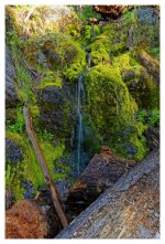 Mini falls on Tokopa Falls trail.jpg