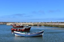 DSC_1010e.jpg