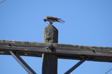 DSCN3622.jpg