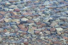 DSCN3625.jpg