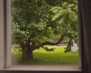 Trough window.jpg