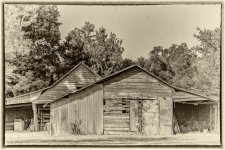 D73_2066-Edit-Edit.jpg