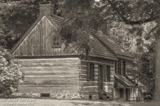 DSC_0452 sepia low res.jpg