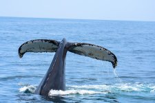 DSC_2508.jpg