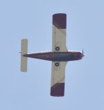 _ROY5019.JPG