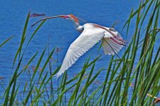 DSC_6778jpre.jpg