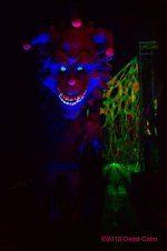 Shadows FB 500_5230.jpg