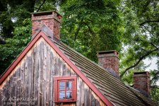 DSC_0458 CEP4 with vignette low res.jpg