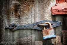 DSC_0467 low res.jpg