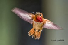 _IVA3071_DxO.jpg
