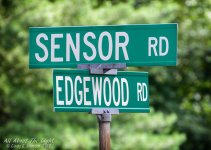 DSC_0536 low res.jpg