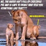 water.jpg