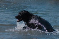 jack in river -0007-DSC_9270.jpg