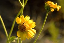 07-31-18-cr__7506820.jpg