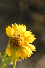 07-31-18-cr__7506821.jpg