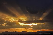 08-01-18-cr__7506832.jpg