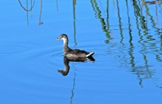DSC_2842el.jpg
