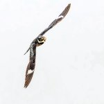DSC_0948-Edit.jpg