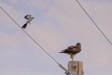 08-05-18-cr__D7K9586.jpg