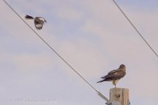 08-05-18-cr__D7K9587.jpg