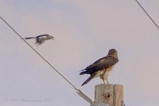 08-05-18-cr__D7K9588.jpg