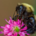 DSC_4500.jpg