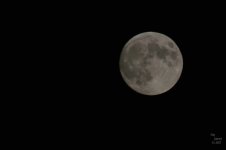20180726_211609_DSC_3360_yl.jpg