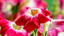 710_7277-Edit.jpg