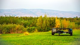 750_3328-Edit.jpg