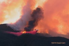 plane fire retardant 500_5907.jpg