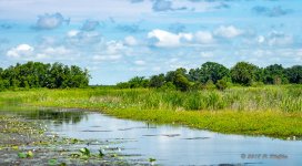D73_2093-Pano-Edit.jpg