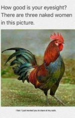 38761854_1888481751172635_2503398658582511616_n.jpg