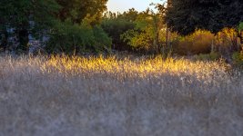 710_7353.jpg