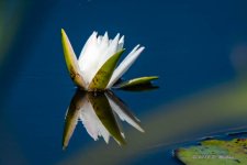 D73_2137-Edit.jpg