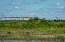 D73_2142.jpg