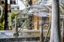 August13bulbfountain8.jpg