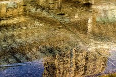 August13puddle.jpg