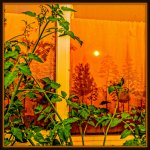 750_3916-Edit.jpg