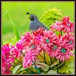 DSC_1360-Edit.jpg
