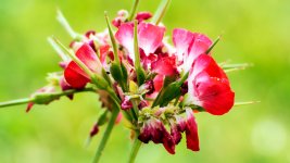 710_7474-Edit.jpg