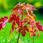 710_7494-Edit.jpg