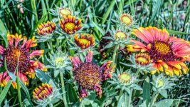 710_7509-Edit.jpg