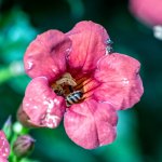 710_7517-Edit.jpg