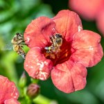 710_7524-Edit.jpg