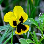 710_7539-Edit.jpg