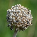 710_7546-Edit.jpg
