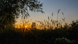 DSC_0810.jpg